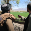 مستند محو کشت کوکنار در افغانستان