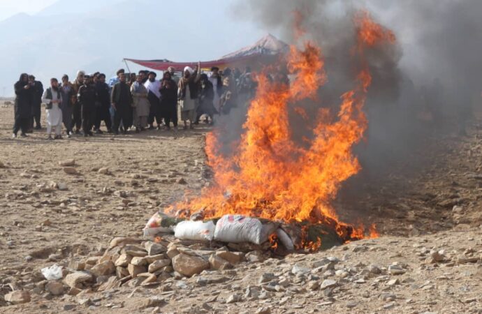 مسئولان محلی در ولایت پروان از حریق ۱۰۰۰ کیلوگرام مواد مخدر خبر داده اند